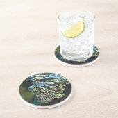 ライオンフィッシュ・コースター コースター (側面)