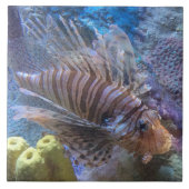 ライオンフィッシュ タイル (正面)