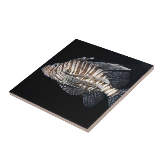 ライオンフィッシュ タイル (側面)