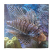 ライオンフィッシュ タイル (正面)