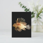 ライオンフィッシュ ポストカード (スタンド正面)