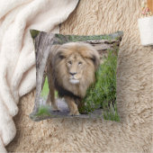 ライオンフォトプリント装飾用クッション クッション (ブランケット)