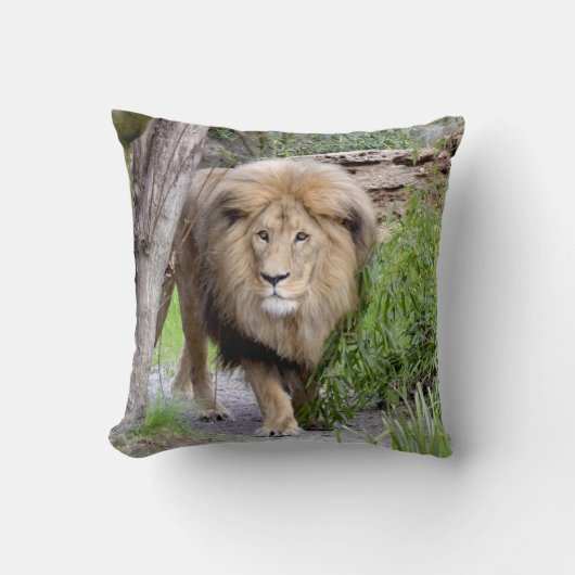 ライオンフォトプリント装飾用クッション クッション (正面)