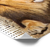 ライオンフォトプリント ポスター (角)