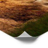 ライオンプライド ポスター (角)