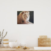 ライオンプリント ポスター (キッチン)