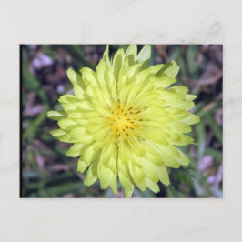 ライオンヘッドイエローフラワーポストクロッシング ポストカード