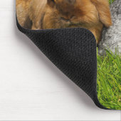 ライオンヘッドホランドミニロップバニーウサギ マウスパッド (コーナー)