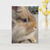 ライオンヘッド·ウサギ カード (黄色い花)