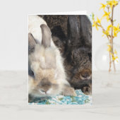 ライオンヘッド・ラビッツ カード (黄色い花)