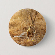 ライオンボタン