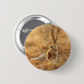 ライオンボタン 缶バッジ (正面&裏面)