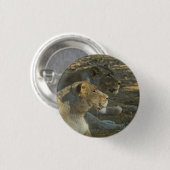 ライオンボタン 缶バッジ (正面&裏面)