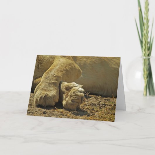 ライオンポーズ カード (正面)