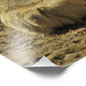 ライオンポーズ フォトプリント            (角)