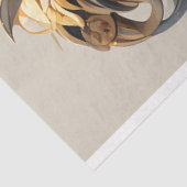 ライオンポートレートティッシュペーパー 薄葉紙 (詳細)