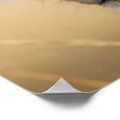 ライオンポートレート写真 ポスター (角)