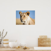 ライオンポートレート写真 ポスター (キッチン)