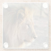 ライオンポートレート ガラスコースター (裏面)