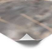 ライオンポートレート ポスター (コーナー)