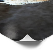 ライオンポートレート ポスター (コーナー)