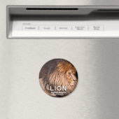 ライオンマグネット マグネット (インサイチュ (食洗機))