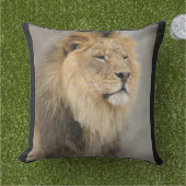 ライオンラバーズ装飾用クッション アウトドアクッション (芝生)