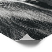 ライオンレイグブラックアンドホワイトロー ポスター (角)