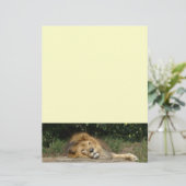 ライオンレターの先頭紙 (スタンド正面)