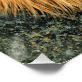 ライオン写真絵を描アートイメージ ポスター (コーナー)