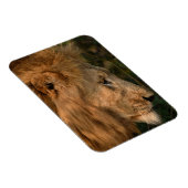 ライオン冷凍機磁石あなたの写真テンプレート マグネット (右側)