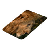 ライオン冷凍機磁石あなたの写真テンプレート マグネット (左側)