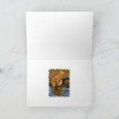 ライオン及び幼いこども シーズンカード (内部)