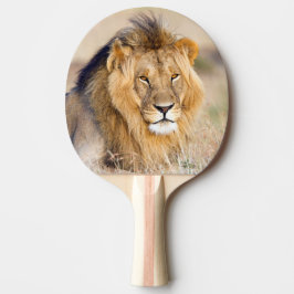 ライオン威厳のある野生動物ポートレート 卓球ラケット