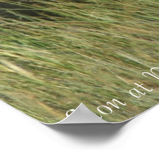 ライオン安静時 ポスター (角)