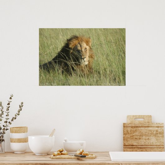 ライオン安静時 ポスター (キッチン)