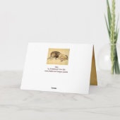 ライオン岬は横たわっていた カード (裏面)