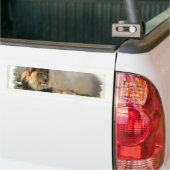 ライオン愛好家への贈り物 バンパーステッカー (トラック上)