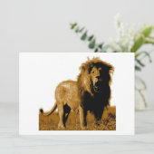 ライオン招待状 – ライオン招待状 招待状 (スタンド正面)