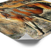 ライオン歩くの茂み ポスター (角)