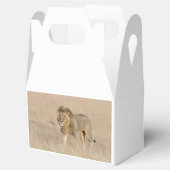 ライオン歩く フェイバーボックス (オープン)