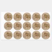 ライオン歩く ラベル (シート)