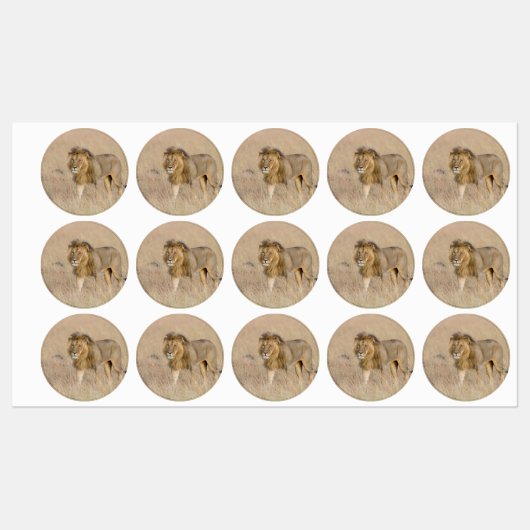 ライオン歩く ラベル (シート)