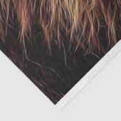 ライオン油絵 薄葉紙 (詳細)