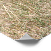 ライオン狩り ポスター (角)