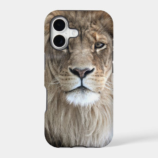 ライオン王のiPhone 5の場合