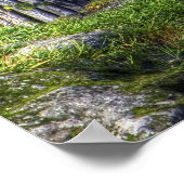 ライオン王 ポスター (角)