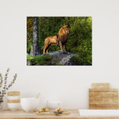 ライオン王 ポスター (キッチン)