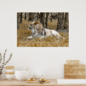 ライオン王 ポスター (キッチン)