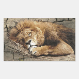 ライオン眠っている動物の野生の猫石 長方形シール